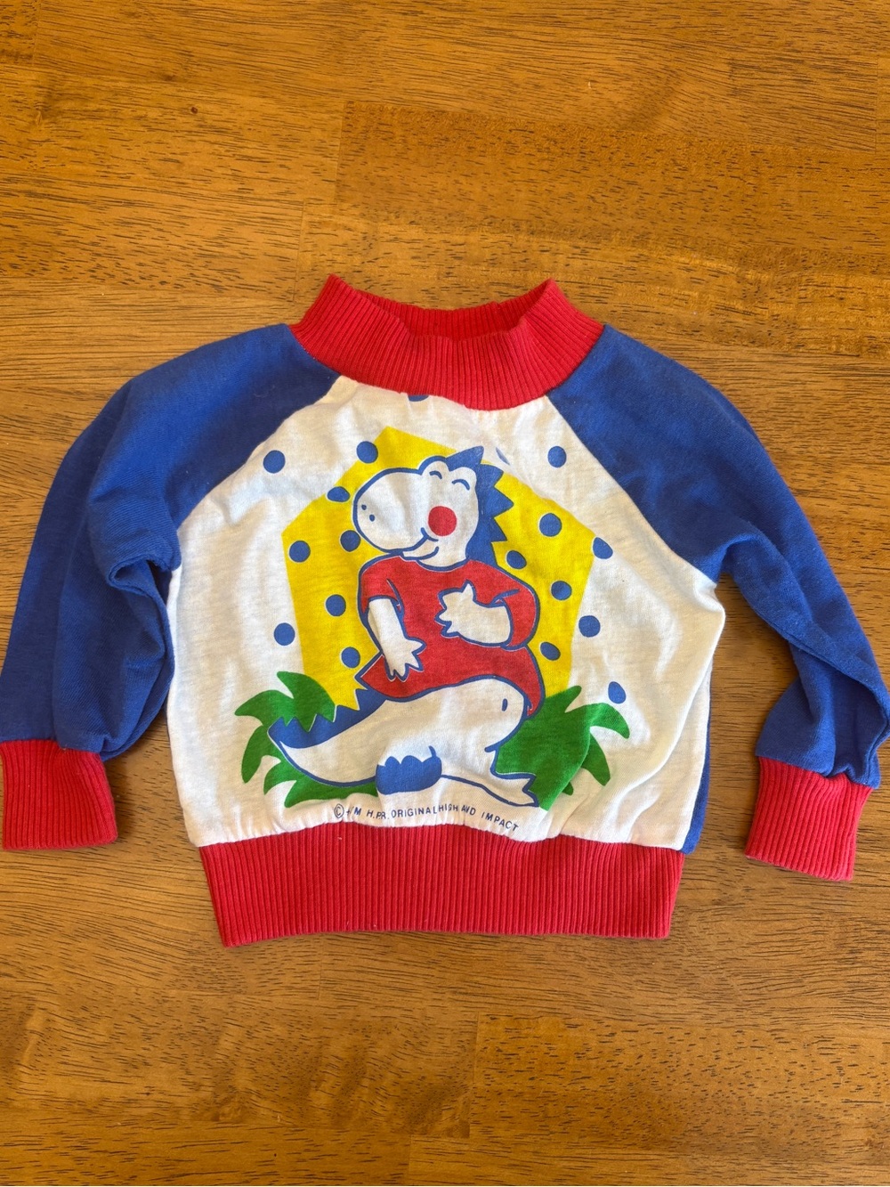 Vintage Dinosaur Dino Graphic Sweatshirt for Kids Baby Blue Red White 90’s Retro